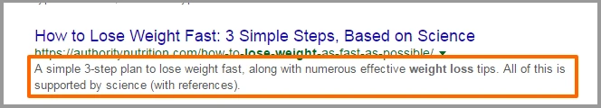 Role of meta description in seo and search snippets